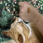 Скраб для тела Plu Intensive Slim Fit, 180 г, 1 шт