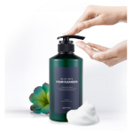 Пенка для умывания Eunyul Black Seed Foam Cleanser, 500 мл