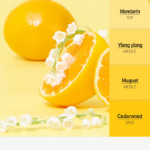 Rotheret Colorfit The Ylang Garden гель для душа, 500мл