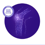 Chong Kun Dang Bone Health Project 365 Кальмадия К, 180 таблеток, 1 шт. (скидка-8%)