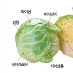 Naturalize Капуста 500мгх90 таблеток Капуста домашняя 1 таблетка в день, 60 таблеток, 1 шт. (скидка-5%)