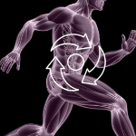 Lifetocol Mega Chrome Добавка 300 мкг 54 г, 180 таблеток, 1 шт. (скидка-42%)