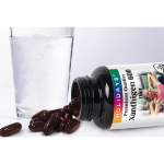 Антиген Холидея 600, 30 таблеток, 1 упаковка (скидка-25%)