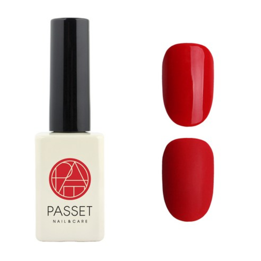 Гель-лак Passet Color 10 мл (скидка-56%)