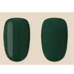 Профессиональный гель-лак Withshan с гелем