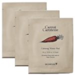 Skinfood Успокаивающие патчи с экстрактом моркови для увлажнения и восстановления, 10 г