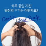 Kundal Cool & Clear Scalp Refreshing Shampoo Aqua Mint, 1.058 Л