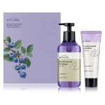 Базовый набор шампуня Beyond Professional Defense для волос