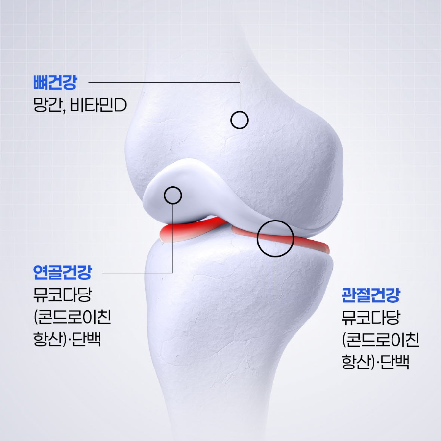 Care rance Joint Cartilage Mucopolysaccharide Chondroitin 1200+ Vitamin D + Manganese Triple Action – добавка для суставов и хрящей, 6 г