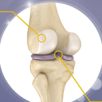 Natural Plus Joint Mucopolysaccharide Chondroitin 1200 – добавка с хондроитином для суставов, 60 г, 60 таблеток