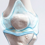 Daewoong Life Science Bone, Cartilage & Joint Shark Cartilage Mucopolysaccharide Chondroitin 1200 – добавка для костей, хрящей и суставов, 72 г, 60 таблеток