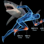 Daewoong Life Science Bone, Cartilage & Joint Shark Cartilage Mucopolysaccharide Chondroitin 1200 – добавка для костей, хрящей и суставов, 72 г, 60 таблеток