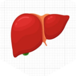 GNCHerbalPlus Milk Thistle – добавка для поддержки печени, 110 таблеток