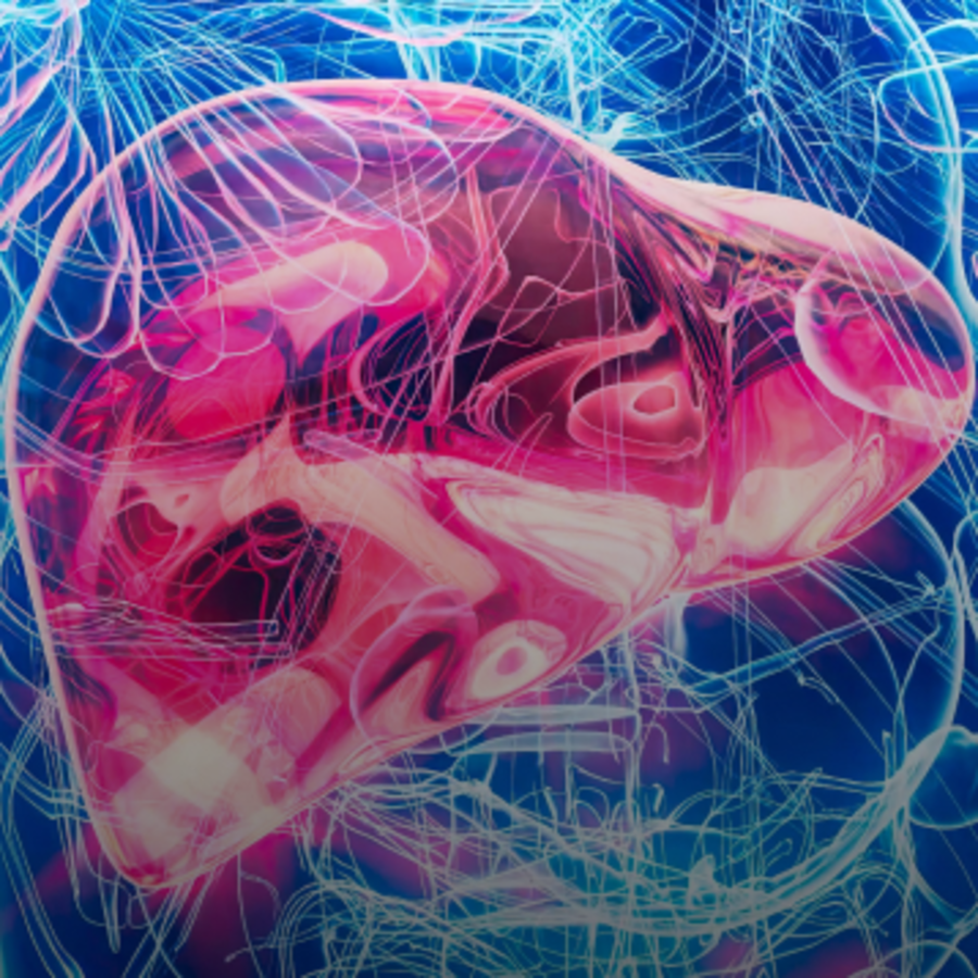 Doctor Line Milk Thistle – добавка для здоровья печени, 30 порций