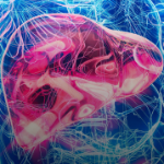 Doctor Line Milk Thistle – добавка для здоровья печени, 30 порций