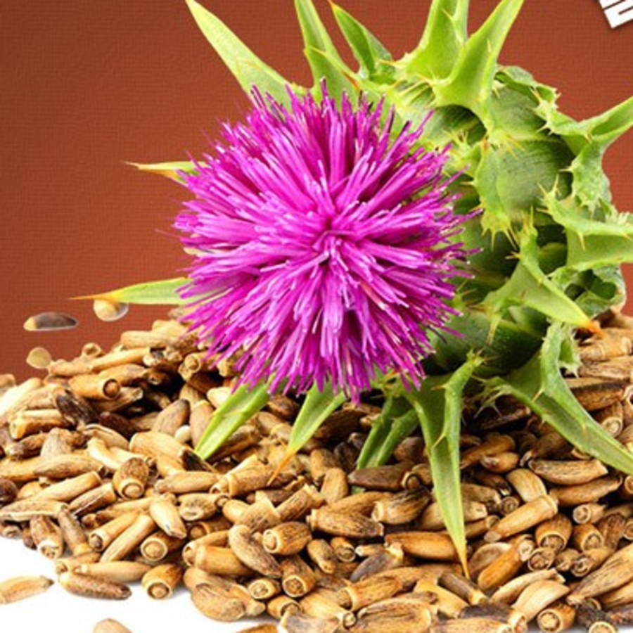 Eulji University Liver Health Plus Milk Thistle & Vitamin B Complex – добавка для поддержки здоровья печени с расторопшей и витамином B, 48 г, 60 таблеток