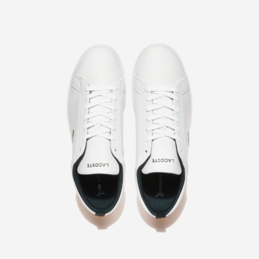 LACOSTE – кроссовки POINT COURT