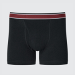 Uniqlo Cotton Waist Stripe Briefs