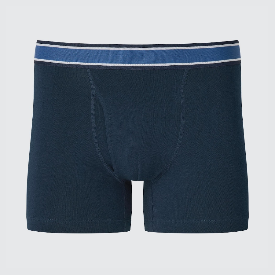 Uniqlo Cotton Waist Stripe Briefs