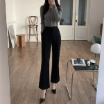 Wanjeon Santtukhae Daily High-Waist Wide Slacks