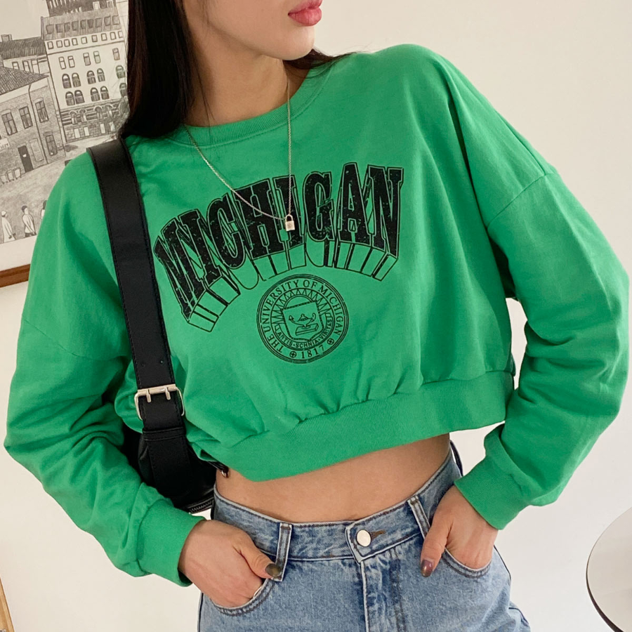 Michigan Green Pink Lettering Crop Sweatshirt