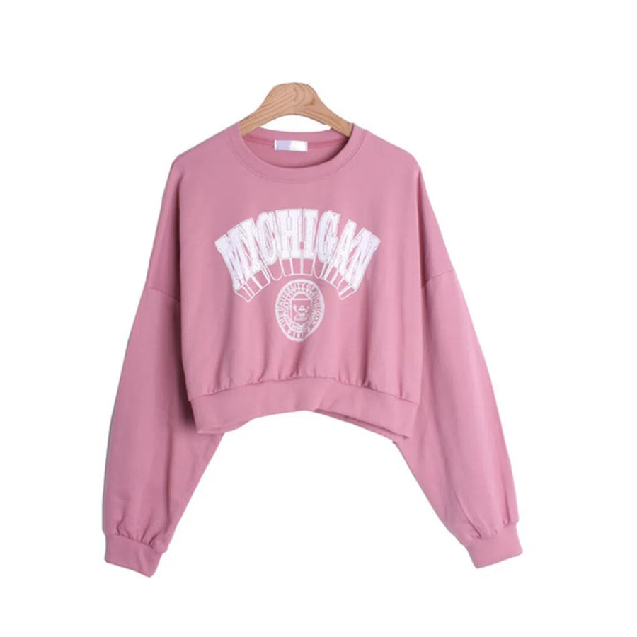 Michigan Green Pink Lettering Crop Sweatshirt