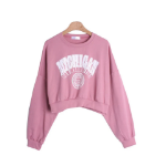 Michigan Green Pink Lettering Crop Sweatshirt