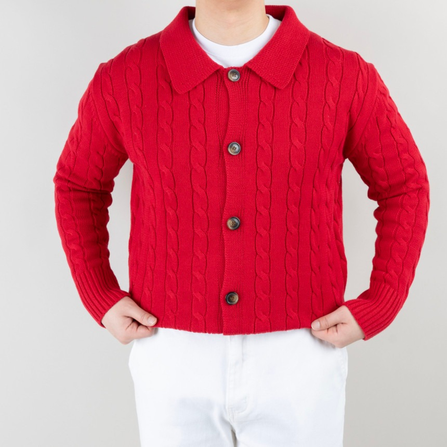 Men's Cable Knit Collar Cardigan
