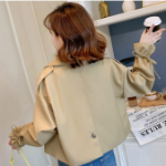 Stylish Crop Trench Jacket