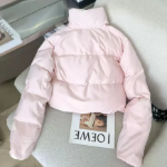 Baby Pink Duck Down Velvet Cotton Crop Puffe