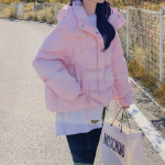 Duck Down Hooded High Neck Puffer