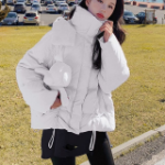 Duck Down Hooded High Neck Puffer