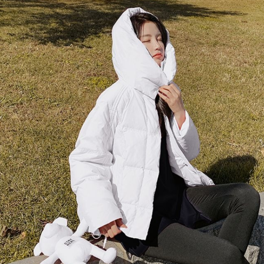 Duck Down Hooded High Neck Puffer