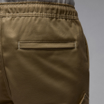 Jordan Essentials Statement Chicago Men’s Shorts