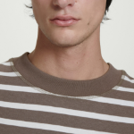 COS Oversized Heavyweight Cotton T-Shirt – Safari Stripe