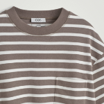COS Oversized Heavyweight Cotton T-Shirt – Safari Stripe
