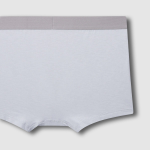 JAJU Rayon Blend Boxer Briefs – Sky Blue