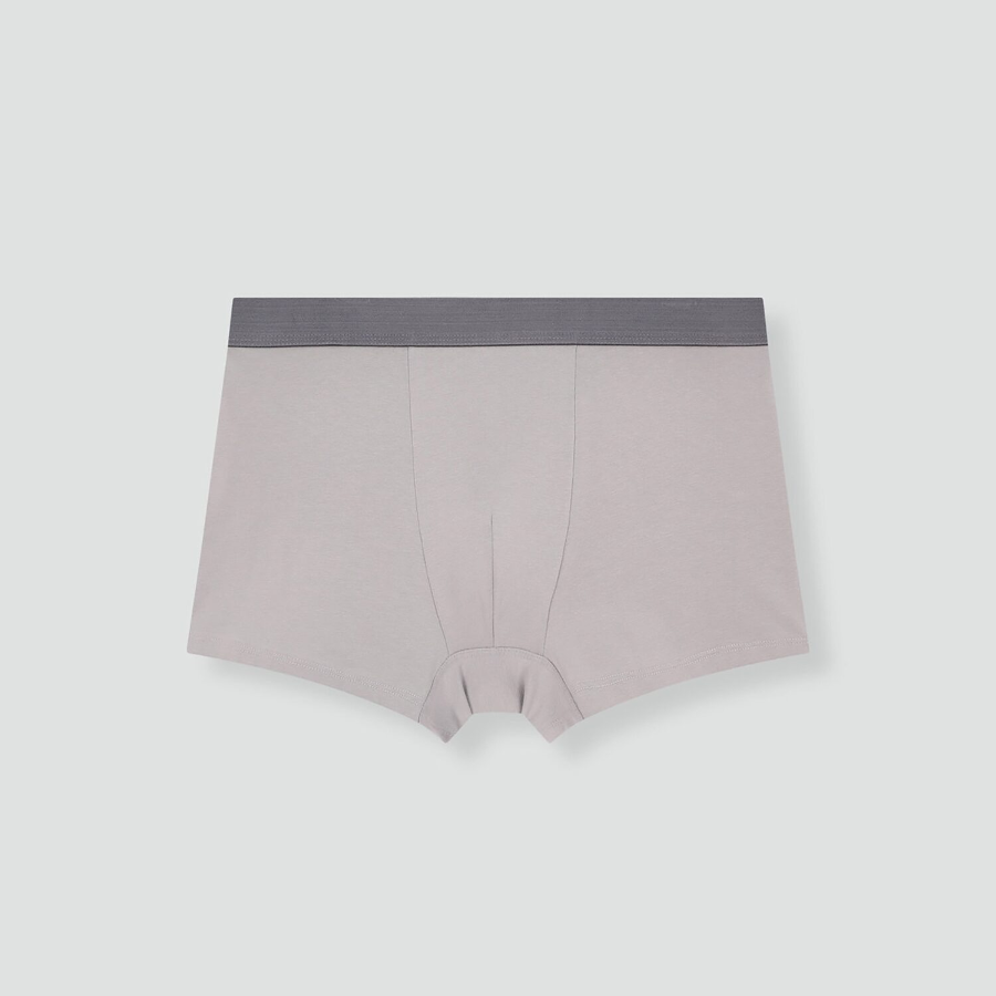 JAJU Cotton Drawers Briefs – Dark Beige